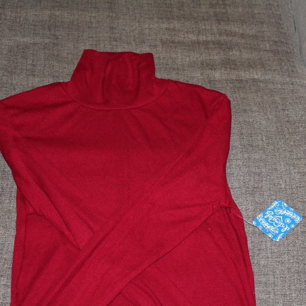 Free People Turtleneck